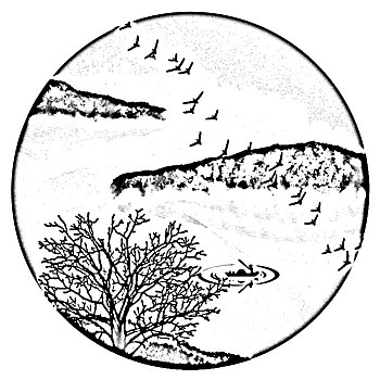 soi cau bạch thu