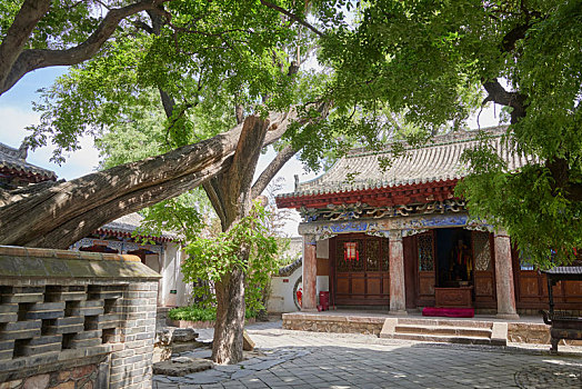 lô bạch thủ hôm nay