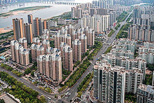 soi cầu lo bạch thủ