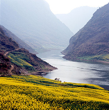 bạch thủ lo hôm nay