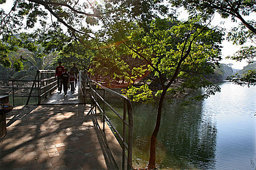 soi 3 càng hôm nay