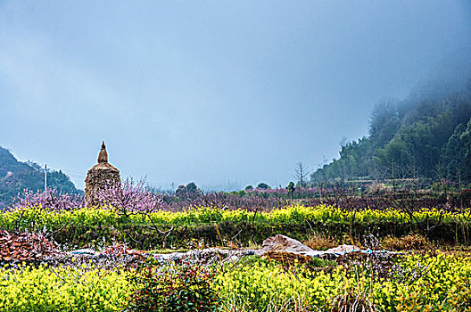 xổ số trà vinh hôm nay