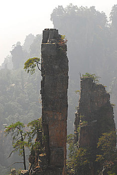 xổ số đài bắc hôm qua