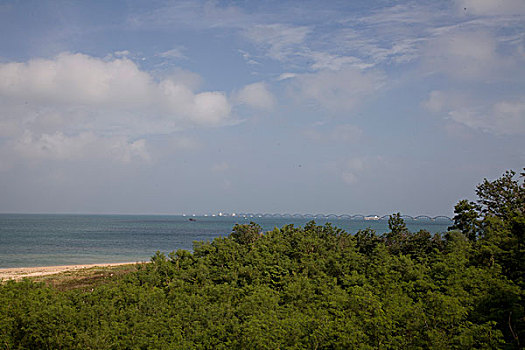 bach thu lo hom nay