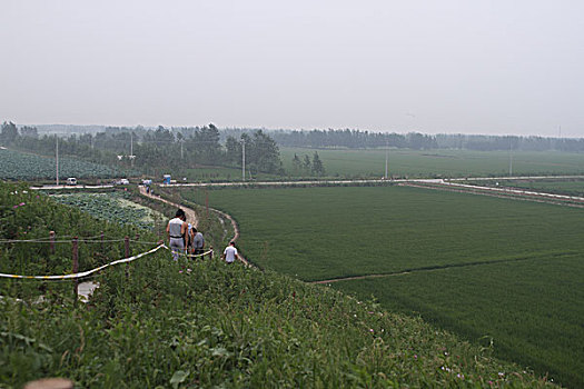 bạch thủ lô đề hôm nay