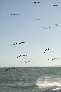 cầu số đề