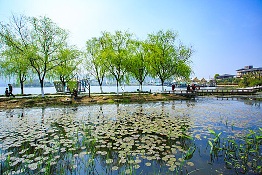 số đồng tháp