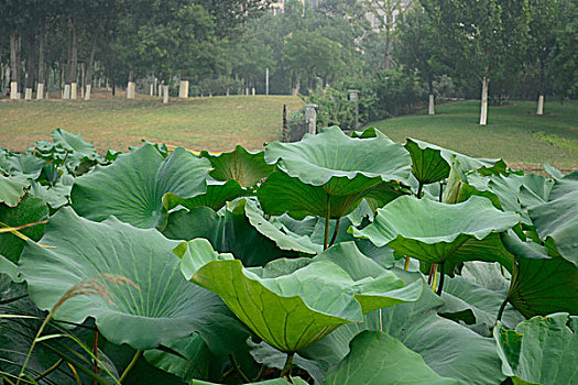chốt lô hôm nay