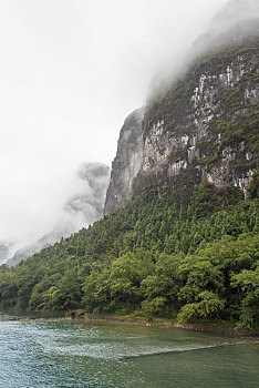 soi câu bach thu