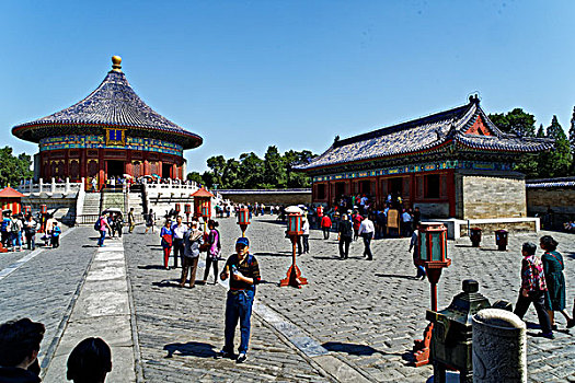 soi bạch thủ miền bắc