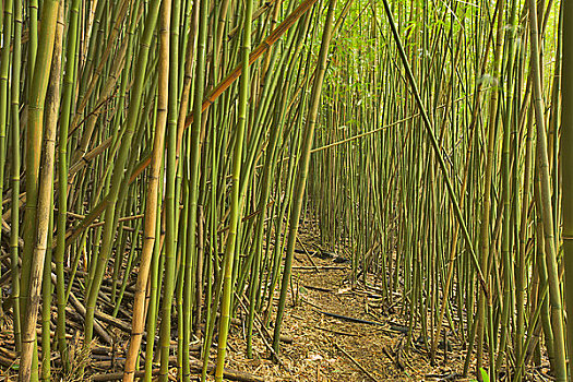 dàn đề ngày hôm nay