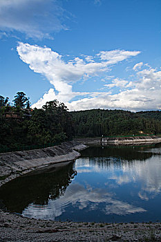 soi cầu rong bach kim