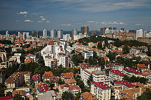 rong bach kim 888 giờ chốt vàng