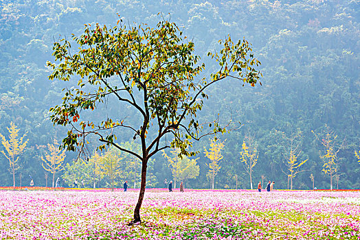 thống kê xsmb hom nay