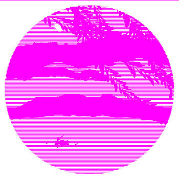 rong vang bach kim xsmb