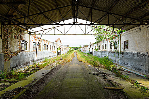 dự đoán bình định