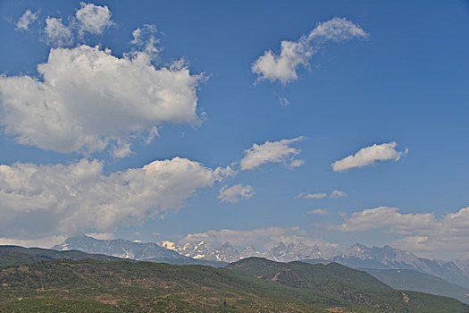 lô bach thu hom nay