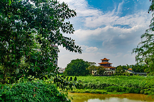 lô bạch thủ miễn phí
