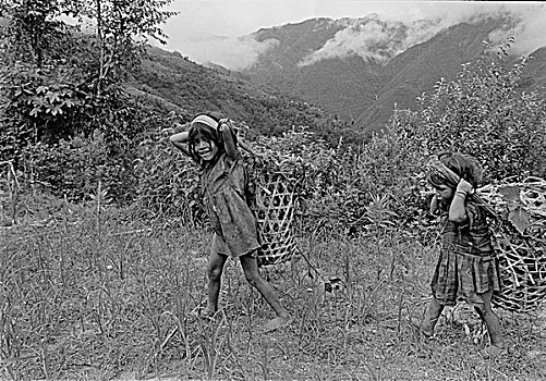 cầu bạch thủ thành phố