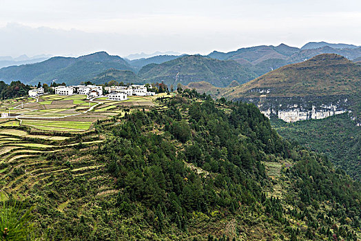 bach thu lo xien