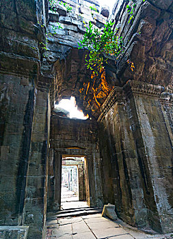 bach thu khung 3 ngay