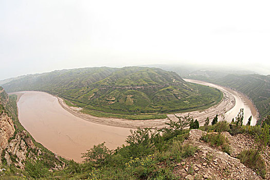 soi cau mien nam wap