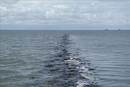 xổ số chủ nhật tuần trước
