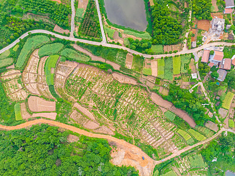 xổ số kiến thiết an giang hôm nay