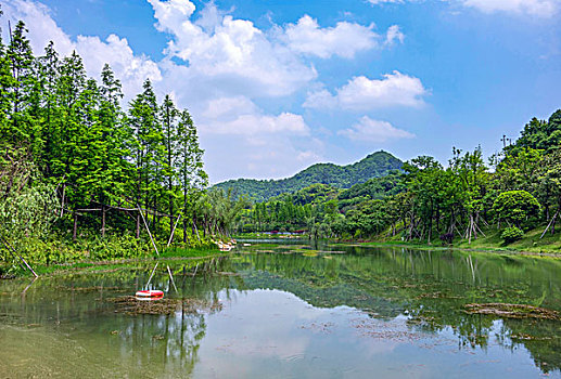 cau lo bach thu