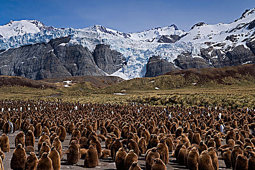soi cau du doan 3 mien