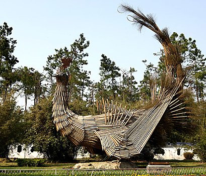 soi cầu dự đoán