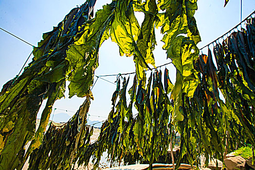 cách chơi lô miền nam