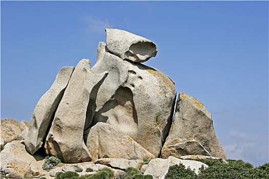 rongbachkim