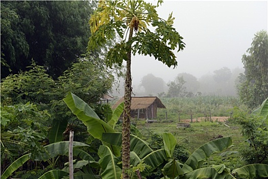 cầu kép miền bắc