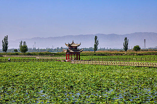 dò số hôm nay