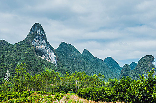 soi cau thu