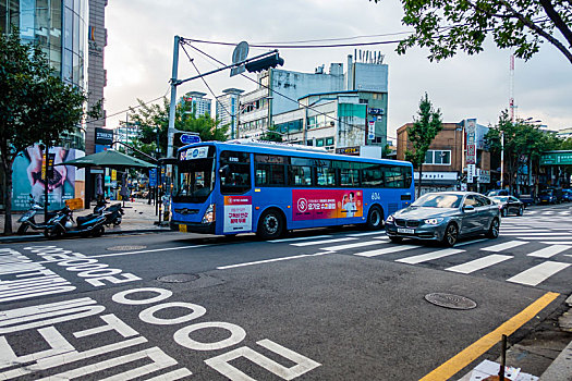 soi cau xo so vung tau