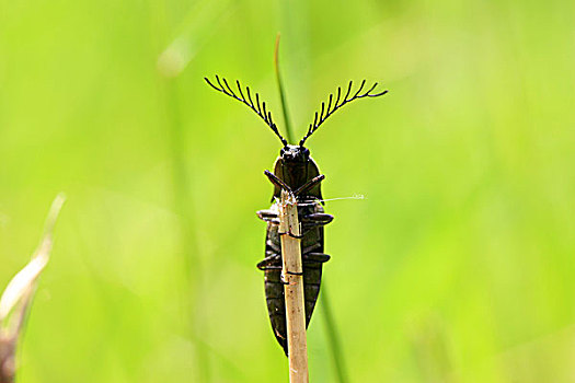 cách ghi lô xiên
