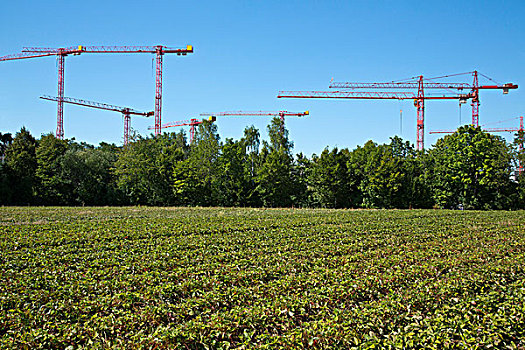 dự đoán xổ số tây ninh