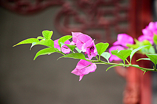 xổ số bạc liêu tuần trước