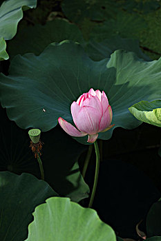 lô miền bắc