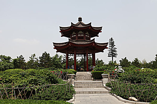 soi cau dng