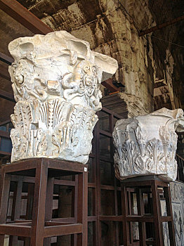 cau rong bach kim 666