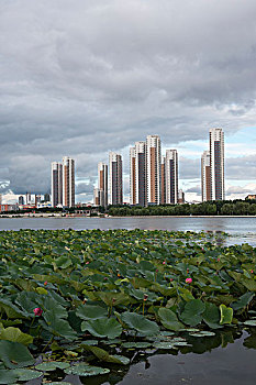lô khung 247