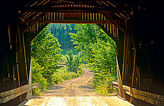 soi cau bach thu lo de mien bac mien phi