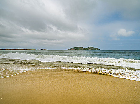 cau bạch thu