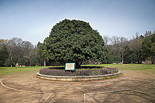 cách đánh dàn đề