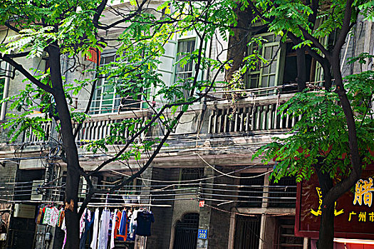 bạch thu lo de