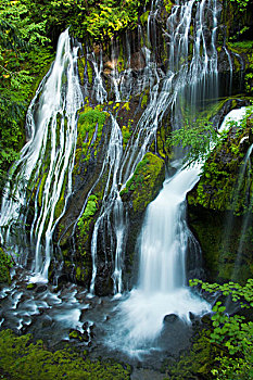 1 ăn 99