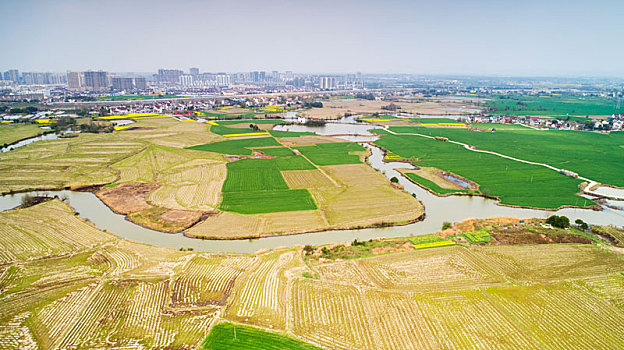 dàn đề